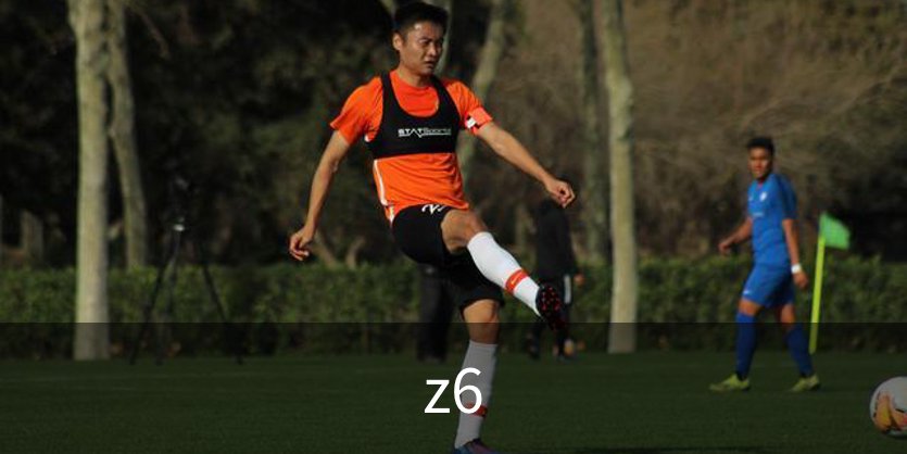 z6介绍